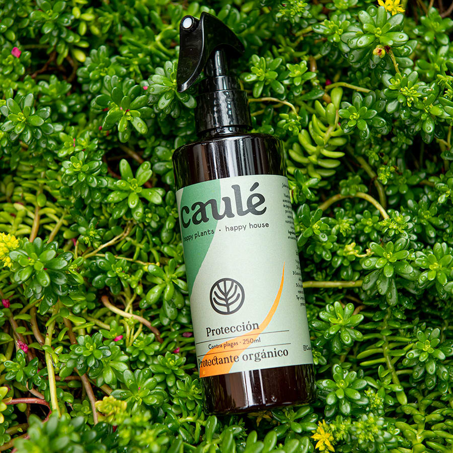 Insecticida Preventivo "Protección" - Imagen 2